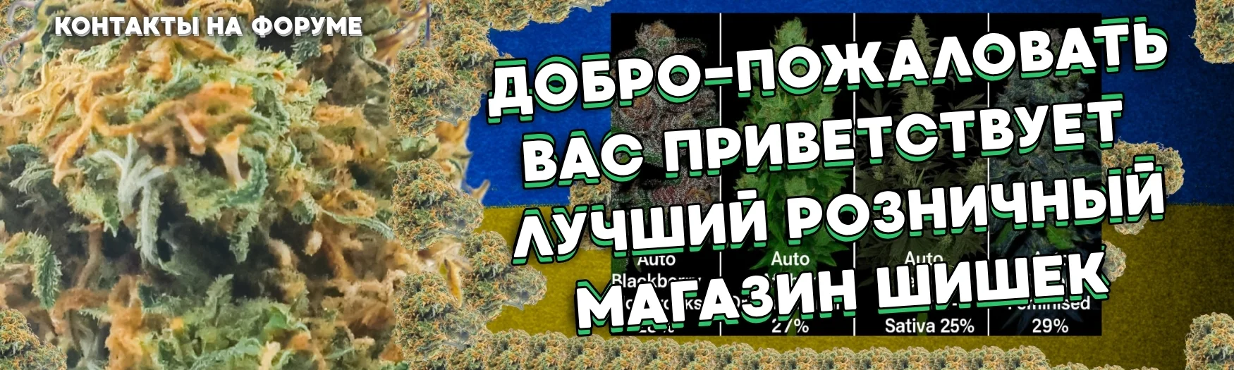 1.webp