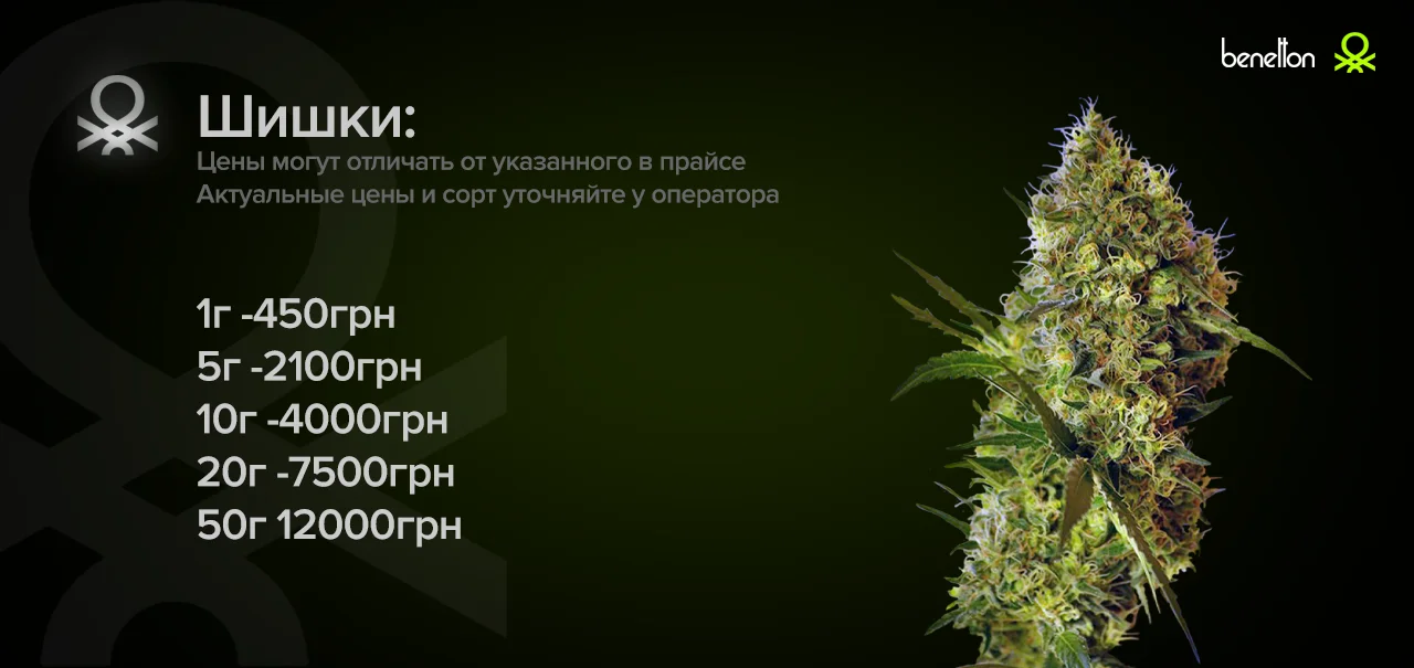 1751020499442.webp