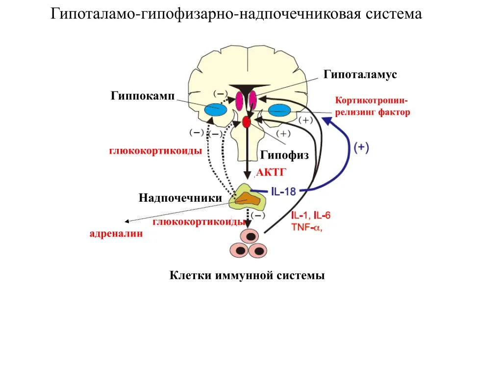 1751706974848.webp