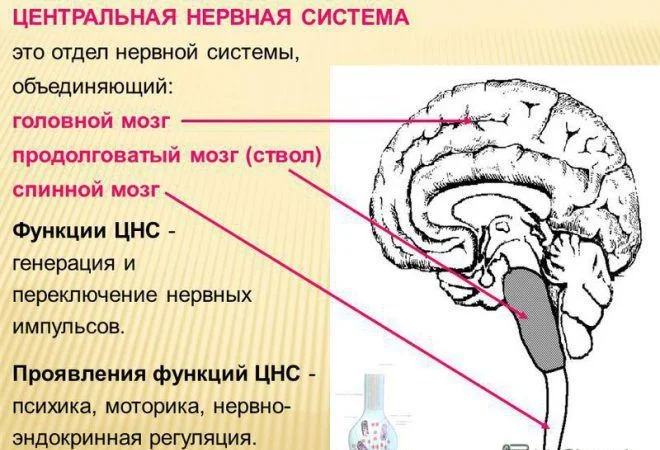 1751963194652.webp