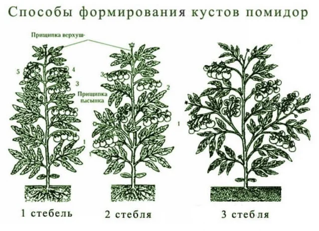 1751981055916.webp