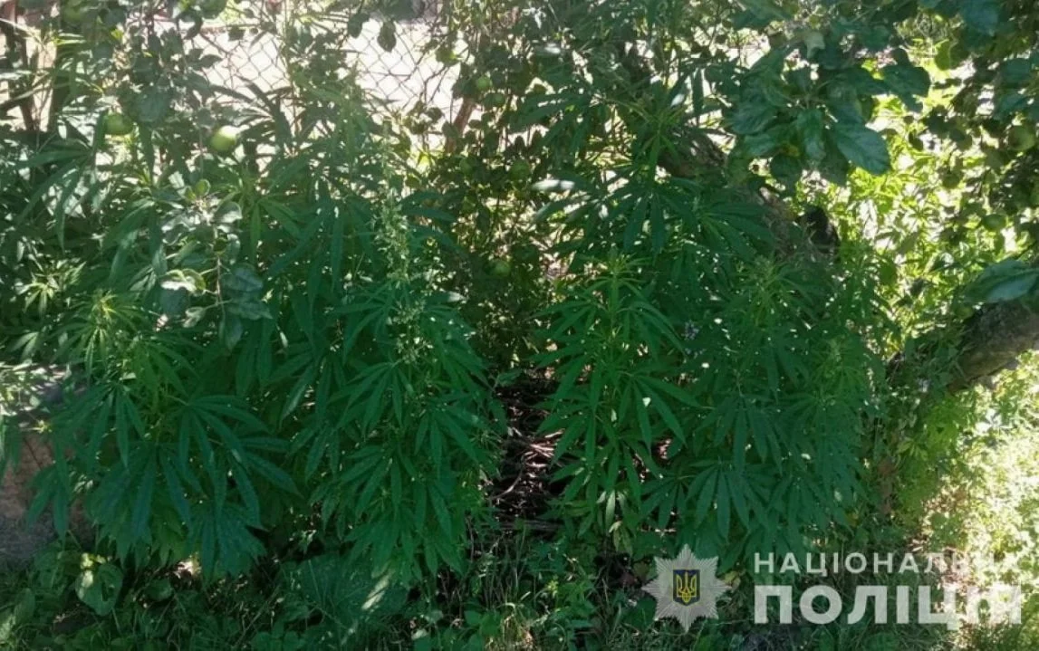 1752070542604.webp