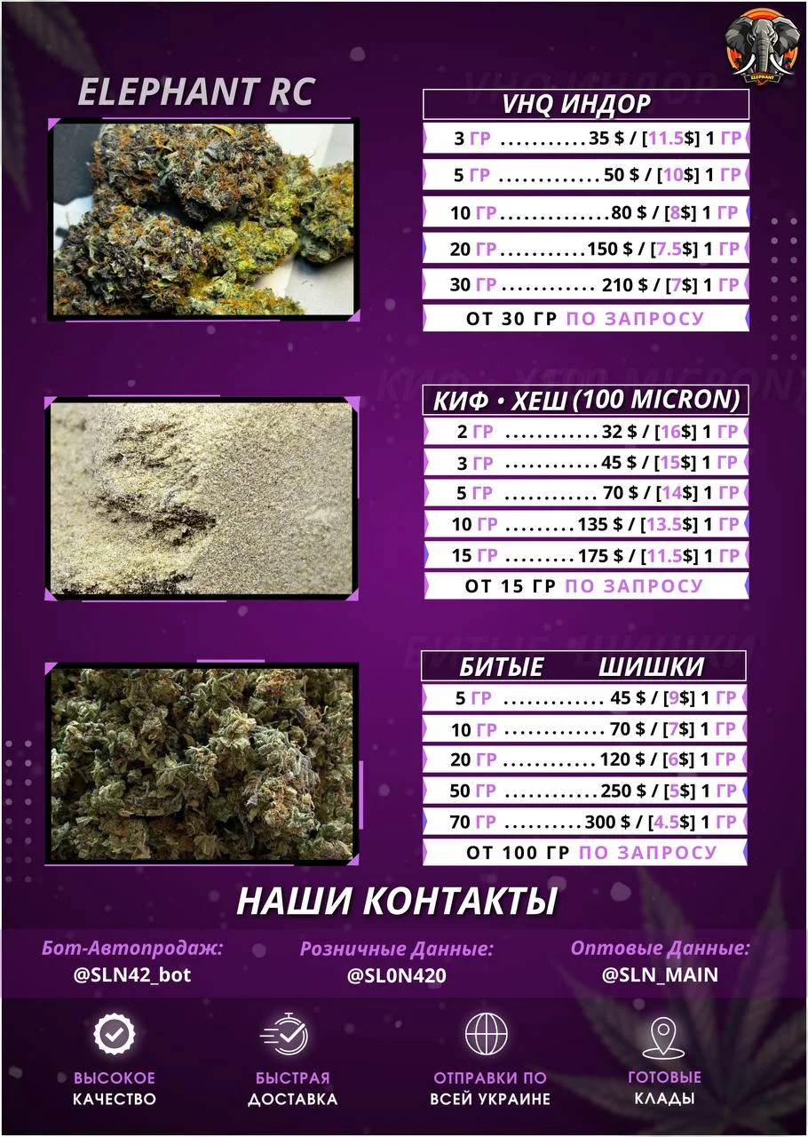 1755088917822.webp