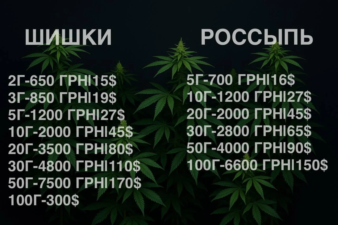 1755109264223.webp