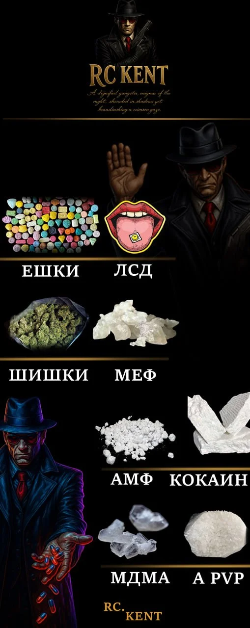 1755240827854.webp