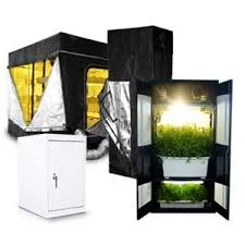 1756992329793-webp.5101