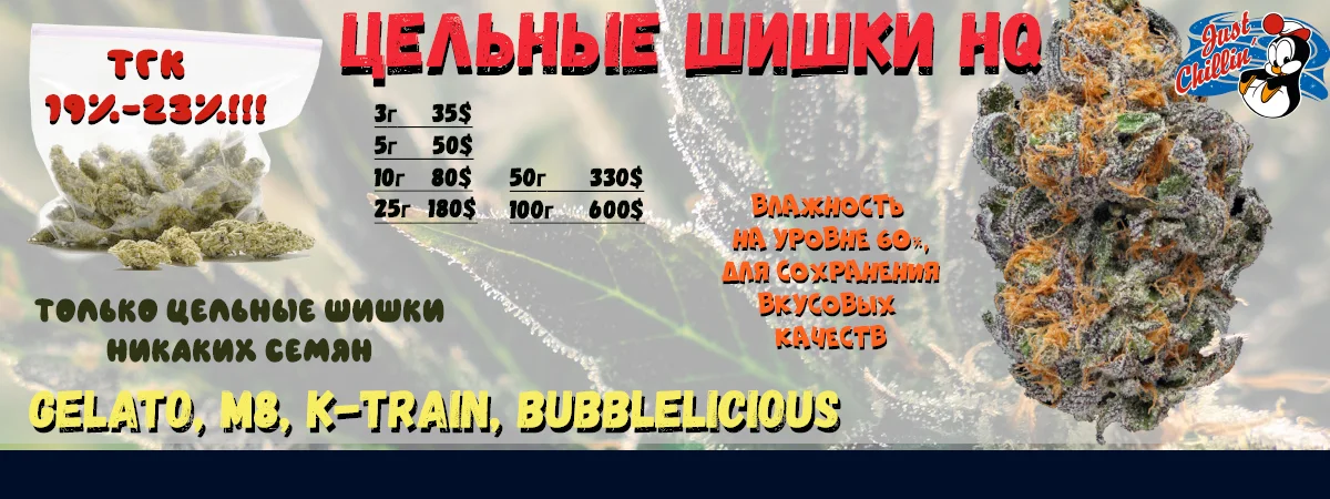 4.webp