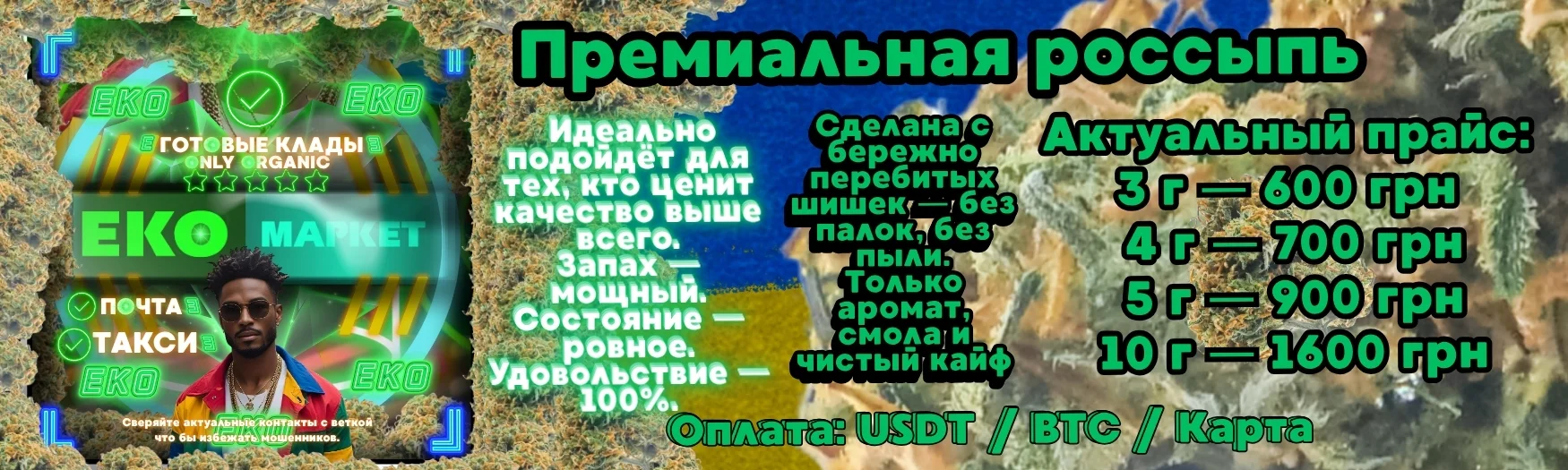 5.webp
