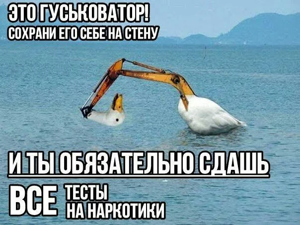 be63f6ad-7ddc-42e6-8e80-86c9cee2b666-1_all_2410.webp