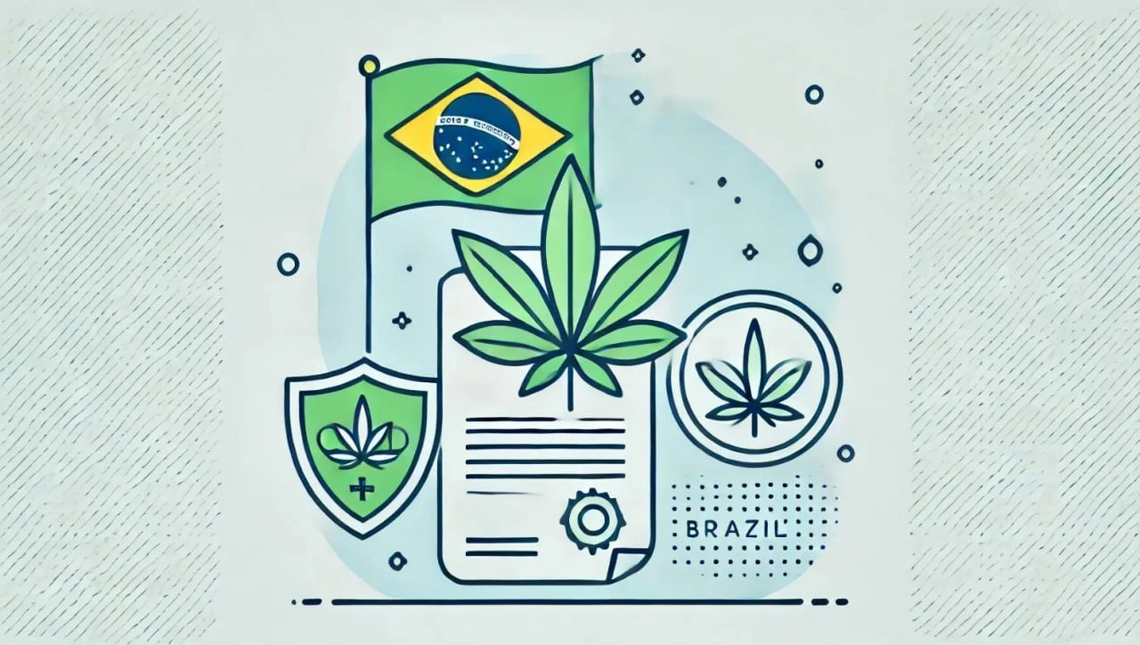 Бразилия намерена стать мировой державой медкана.webp