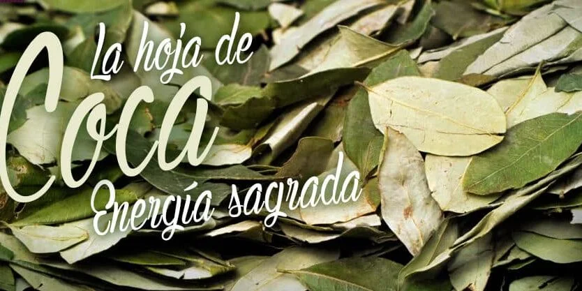 coca-1-e1500051750777-834x417.webp