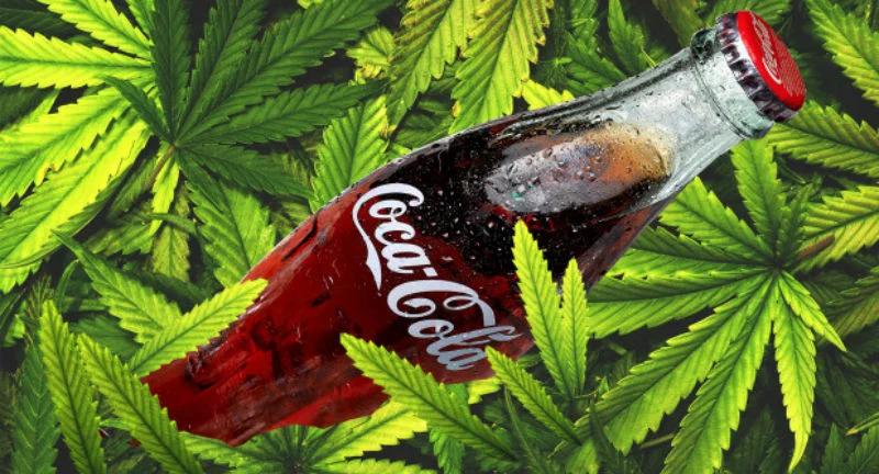 Coca-Cola с марихуаной.webp