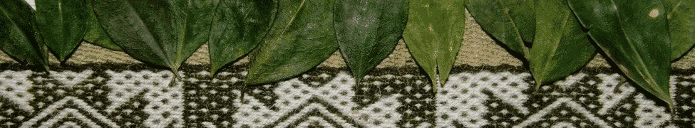 coca_leaves_tradition.webp