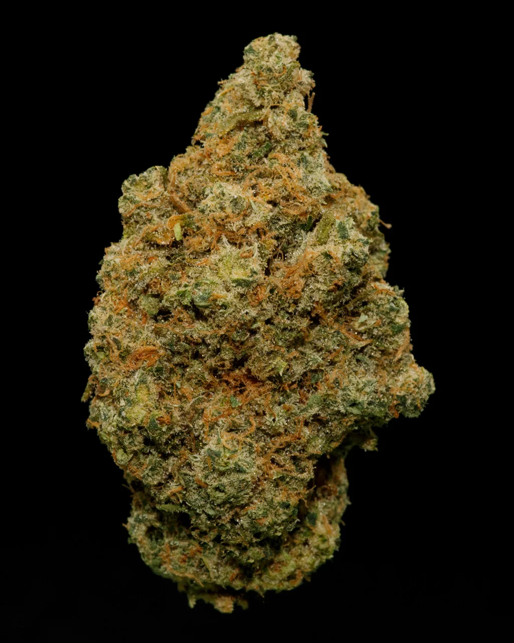 ColumbianGold1crop__86397.webp