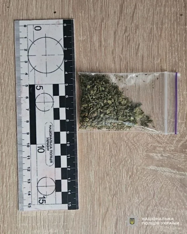 днепр шишки.webp