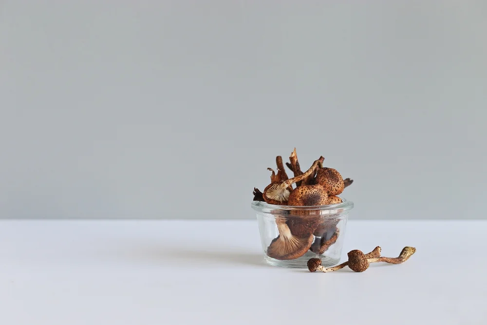 Допустимое употребление наркотиков.webp