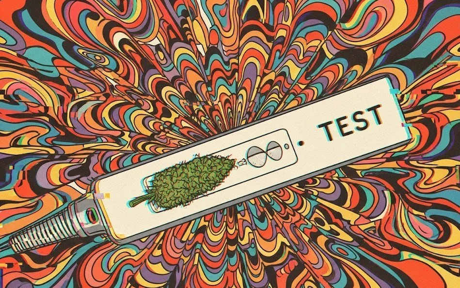 Эксперты признали полицейские канна-тесты полной ерундой.webp