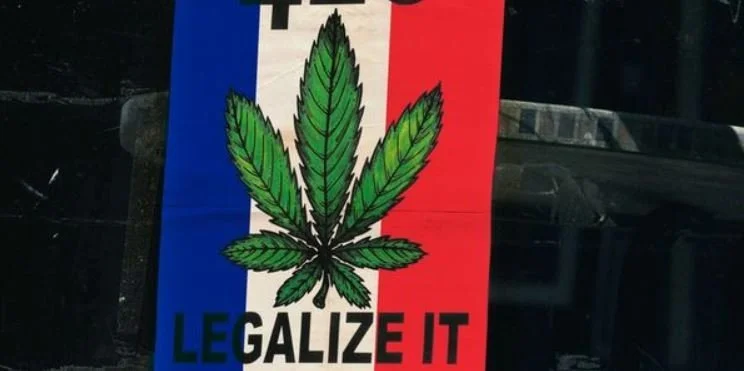 франция каннабис.webp