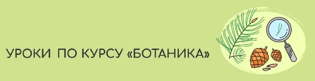 фс.webp