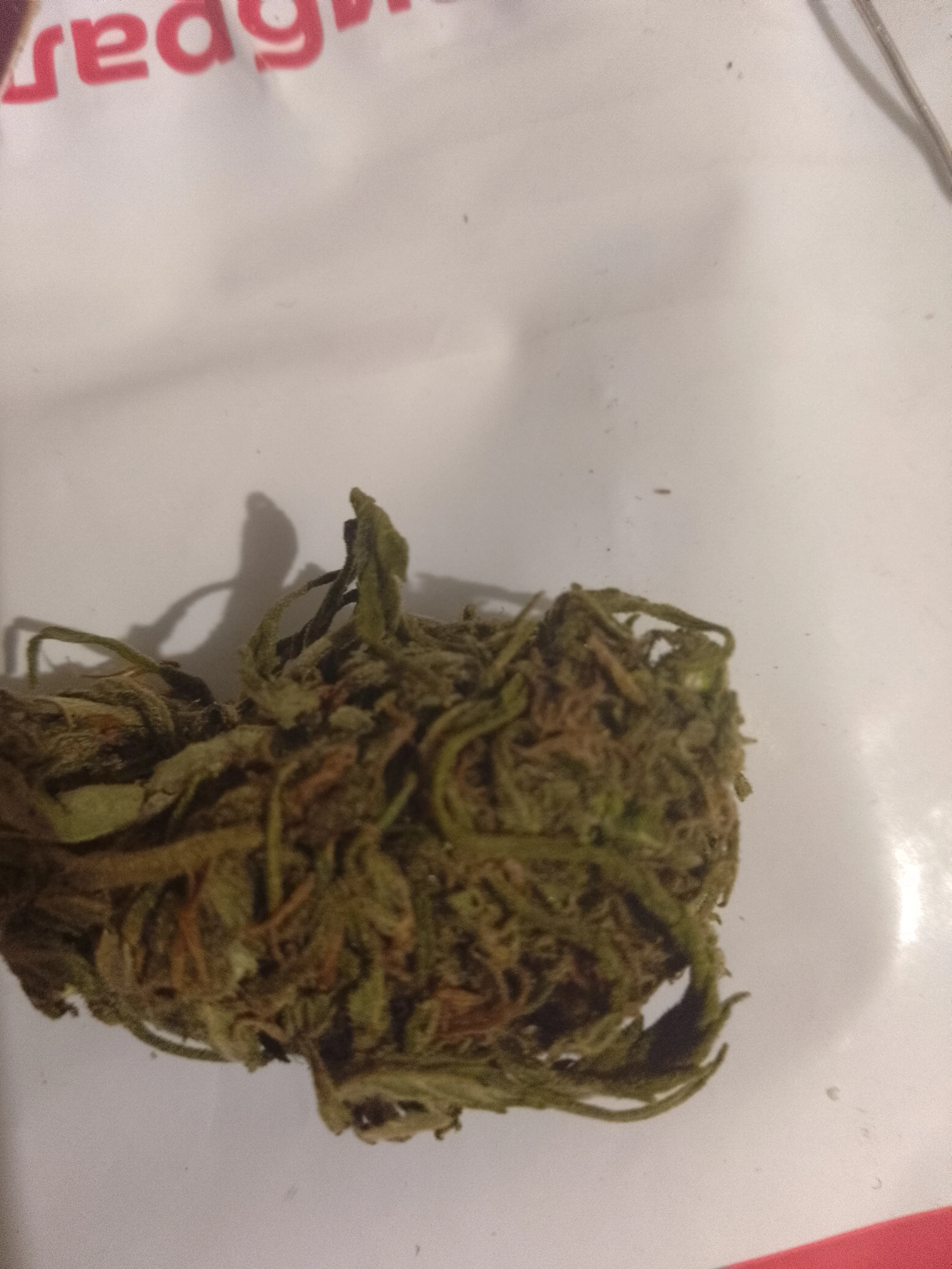 IMG_20250816_220728.webp