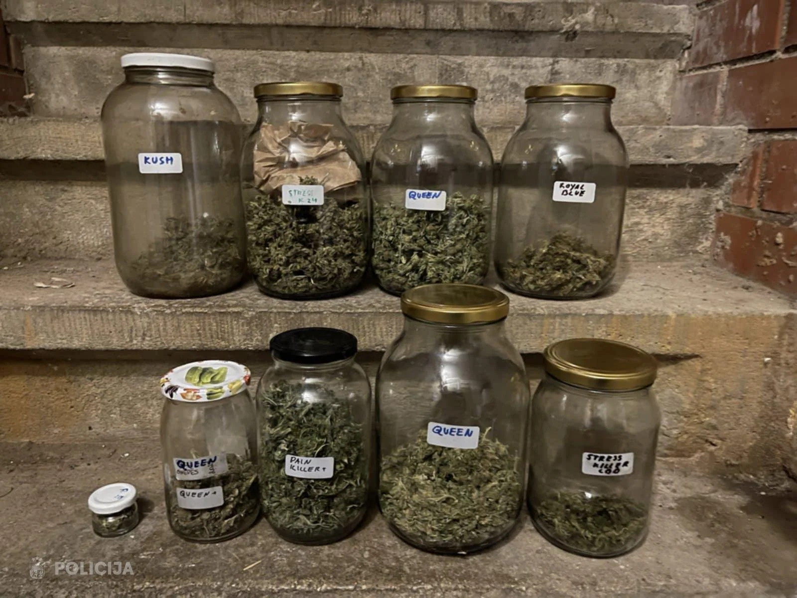 каннабис новости.webp