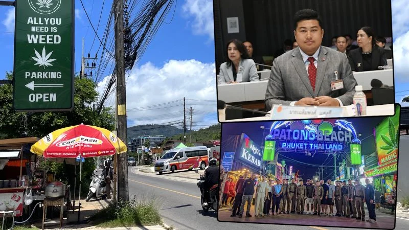 каннабис пхукет.webp