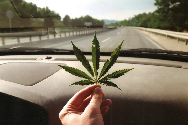 Каннабис почти не влияет на вождение автомобиля.webp