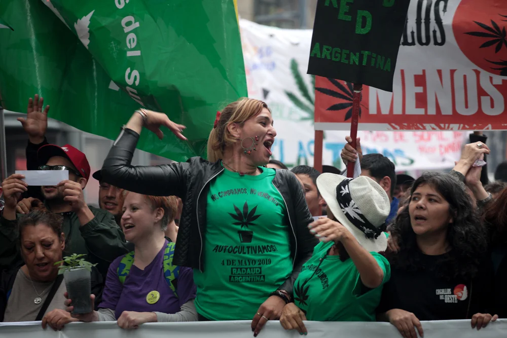 Каннабис в Аргентине.webp