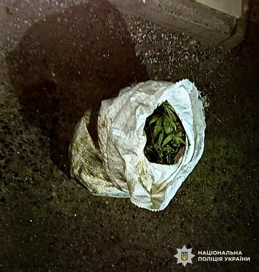 каннабис в украине.webp