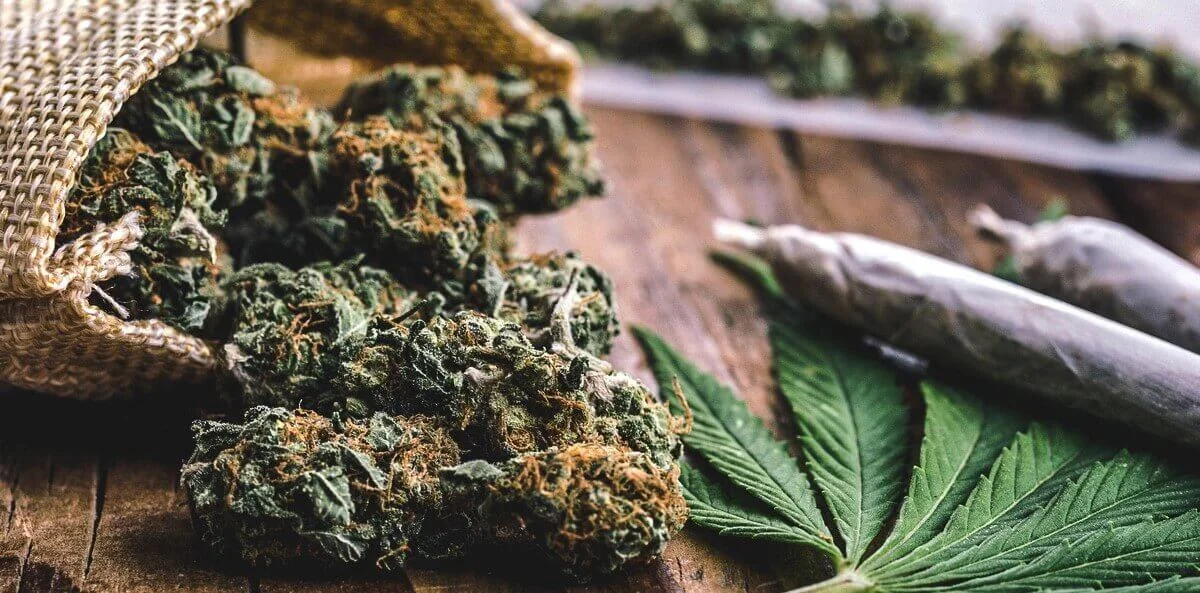 Карьера и курение марихуаны - исследования.webp