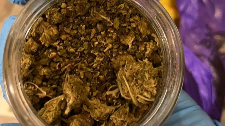 казатин шишки.webp