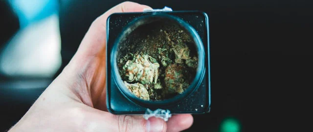 киф гарик.webp