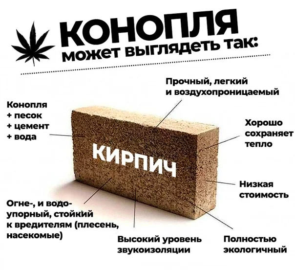 конопляные кирпичи.webp