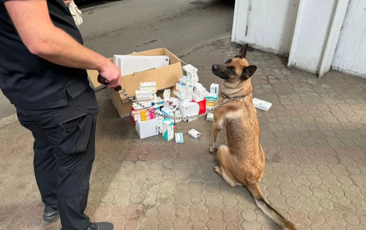 контрабанда в украину.webp