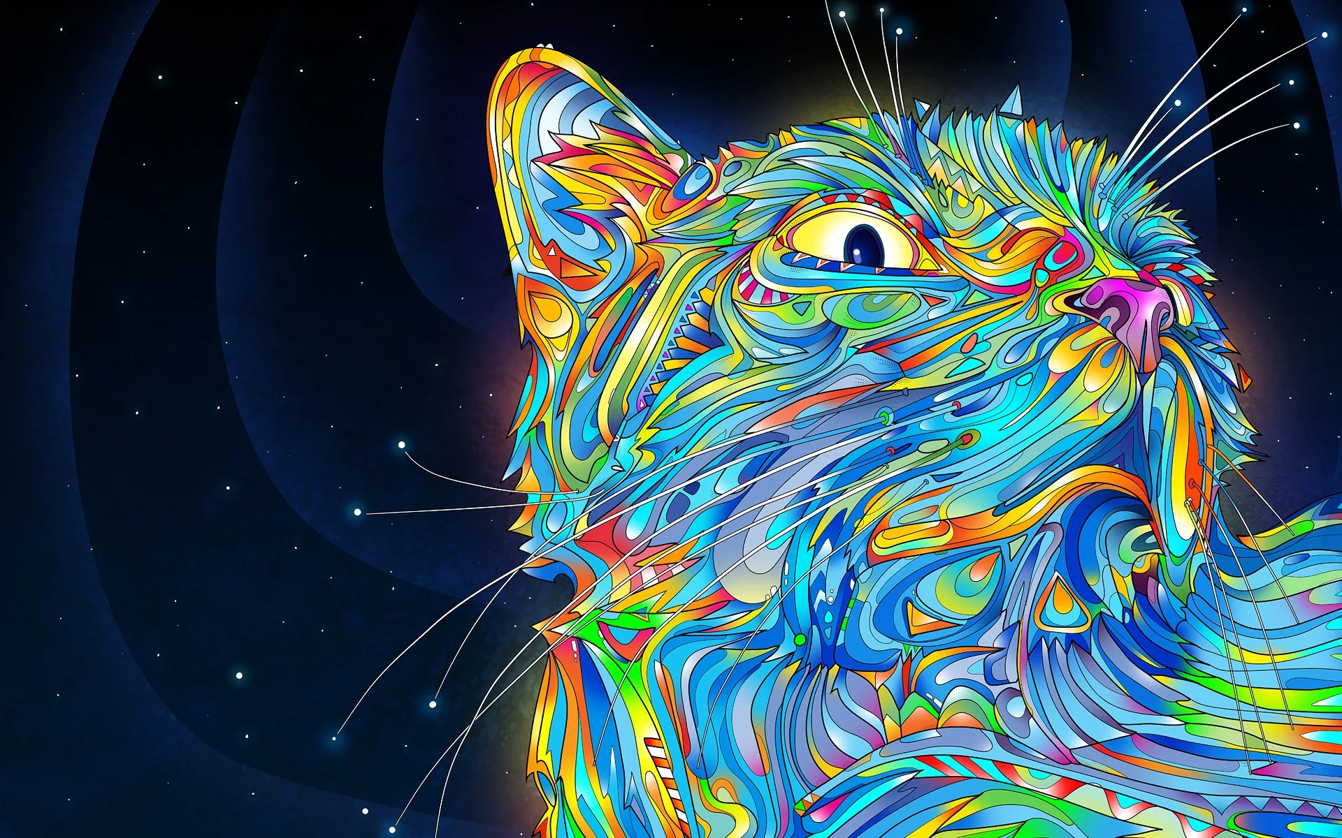 lsd-cat.webp