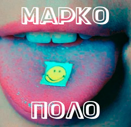 MARKO.webp