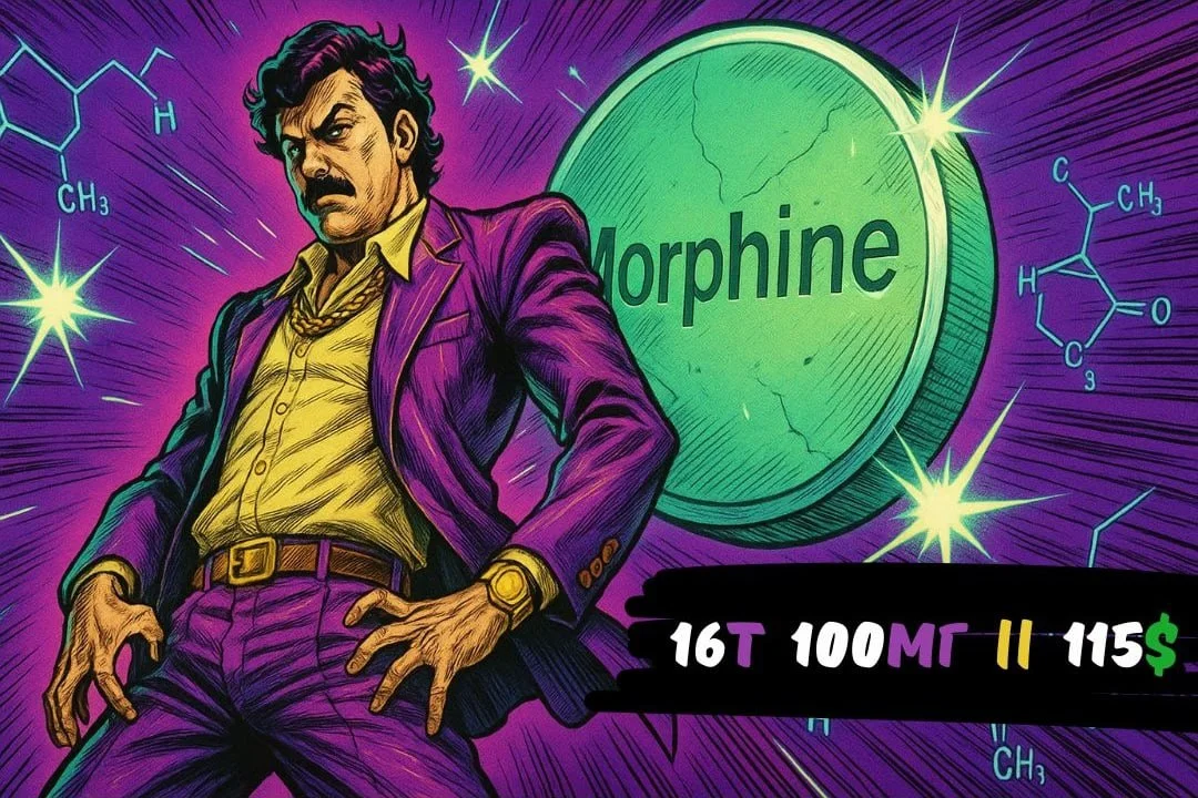 morph.webp