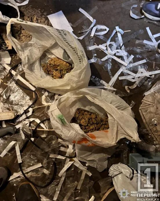 нарко новости.webp