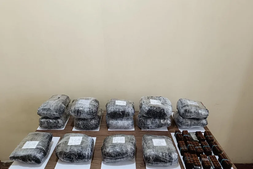 наркотики в.webp