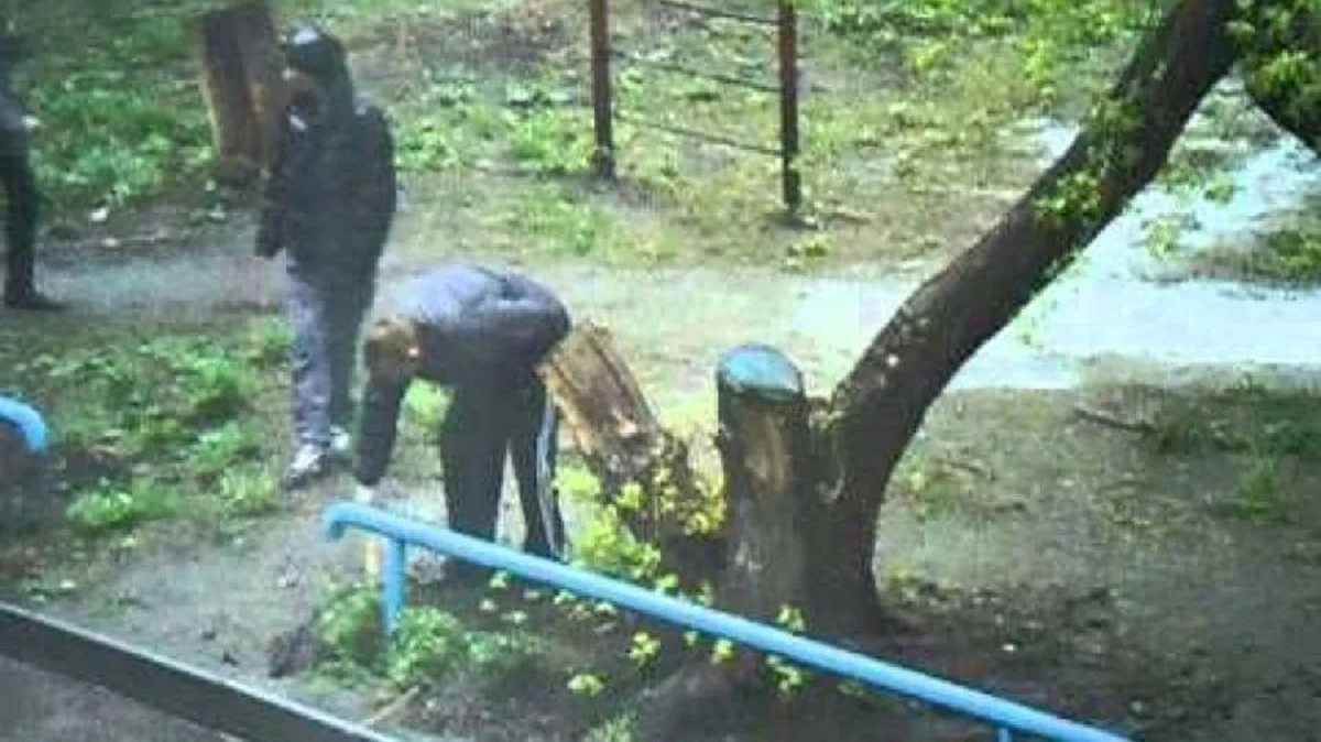 николаев закладки.webp