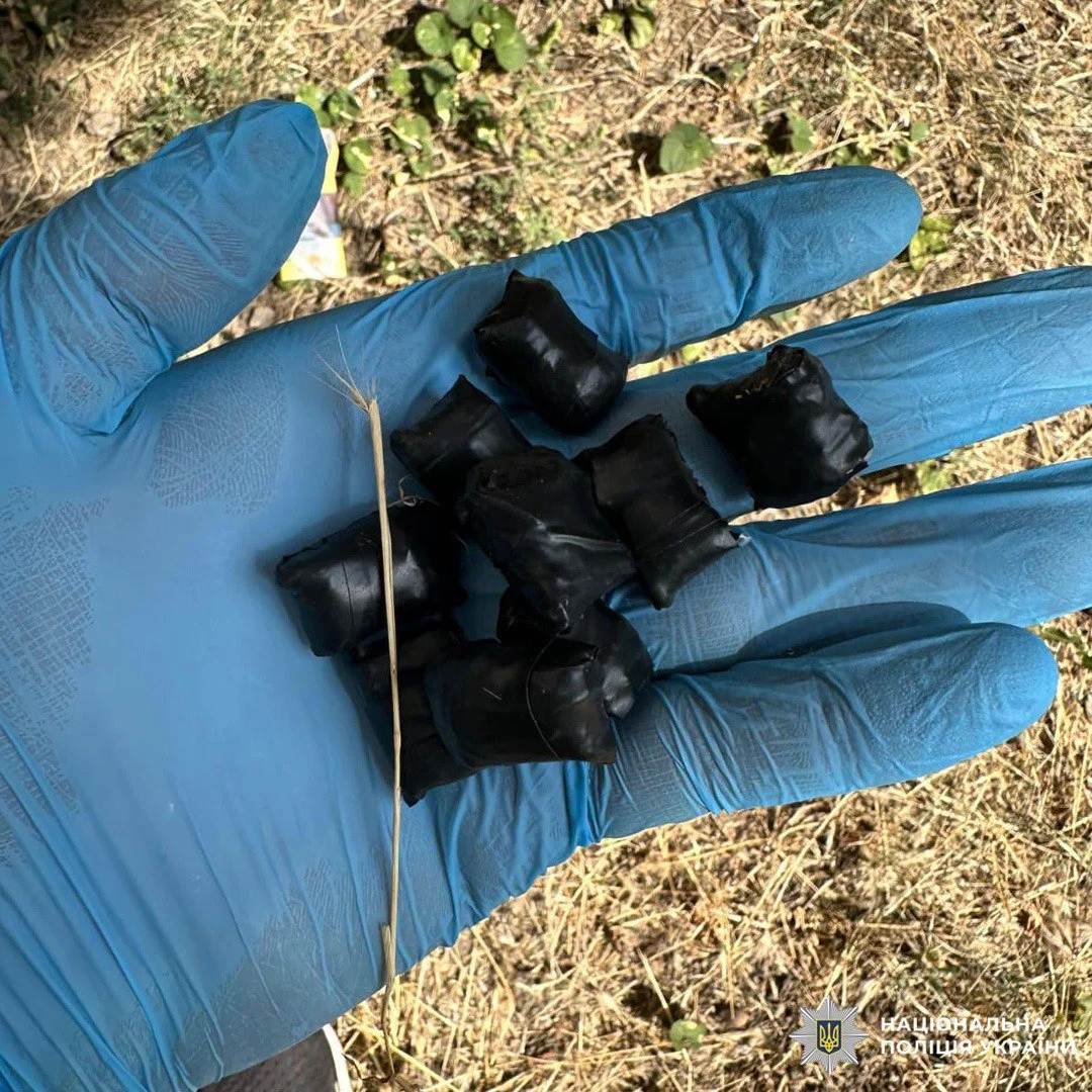 photo_2025-09-12 10_2.webp