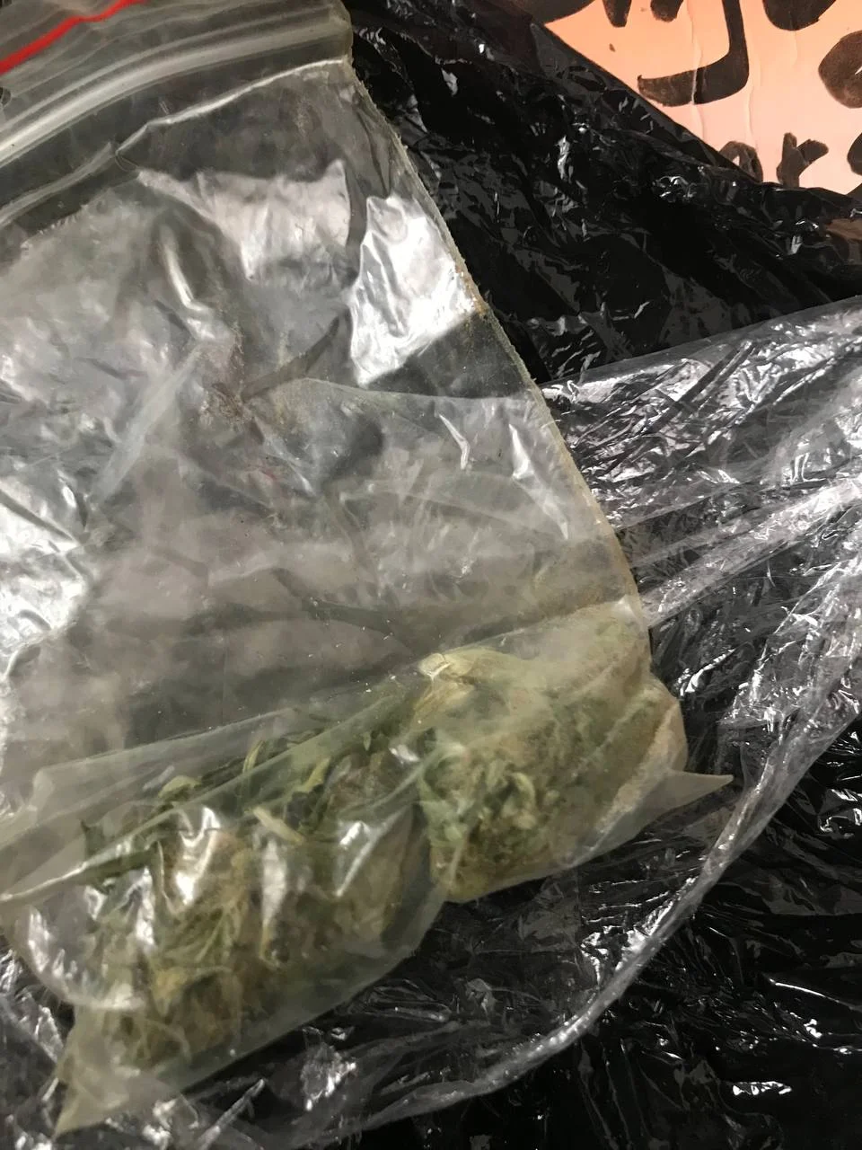 photo_2025-10-21_16-42-43 (2).webp