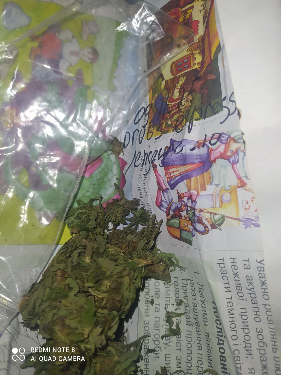 photo_2025-11-10_13-28-51 (2).jpg