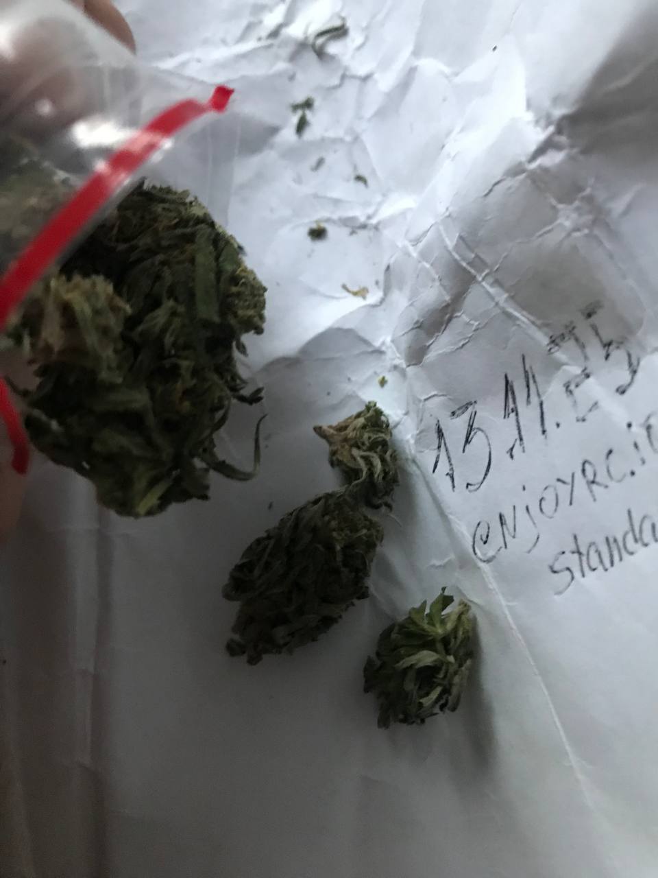 photo_5239953882190908351_y (1).jpeg