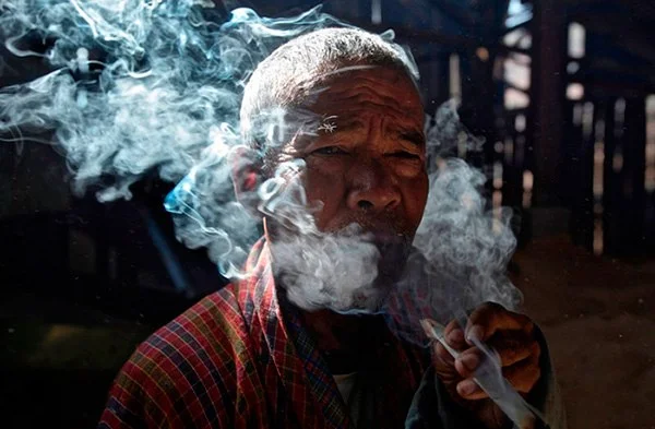 Растили коноплю, но не знали, что марихуану можно курить.webp