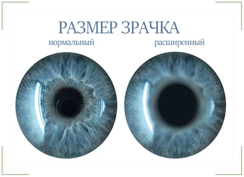 размер зрачков от амфа мефа шиш.webp