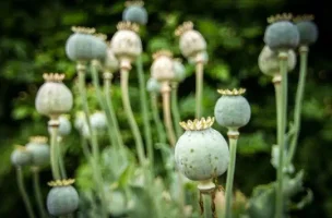 Screenshot 2025-10-07 10.51.26 PM.webp