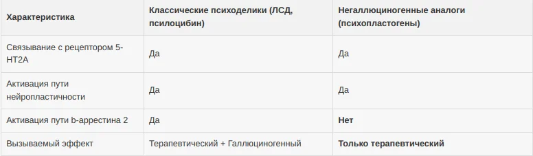 Screenshot 2025-10-11 7.40.03 PM.webp