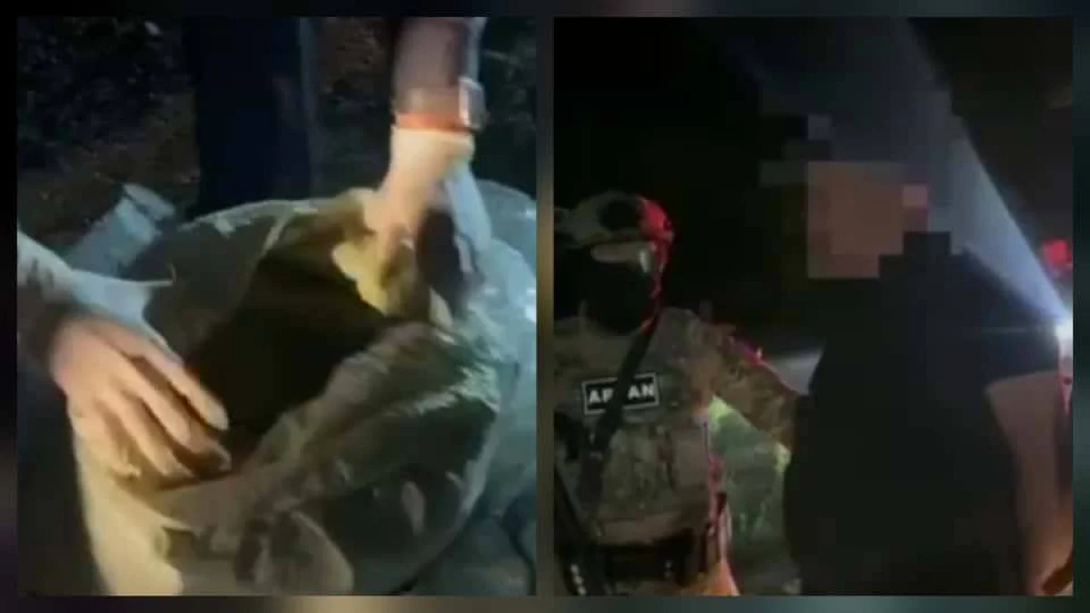 Семью наркоторговцев задержали с крупной партией марихуаны в Жетысуской области.webp