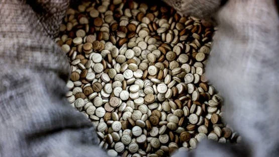 Сотрудничество разведок Ирака и Ливана привело к уничтожению завода по производству каптагона.webp